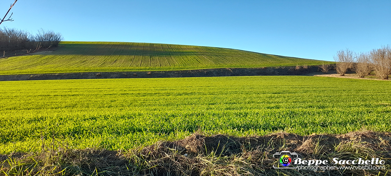 20230110_154954 - Dalla terra... il grano.jpg